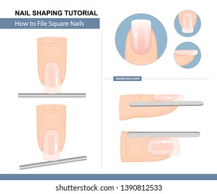 Nail Shaping Tutorial. How to File a Square Nail Shape. Step by Step Instruction. Vector illustration