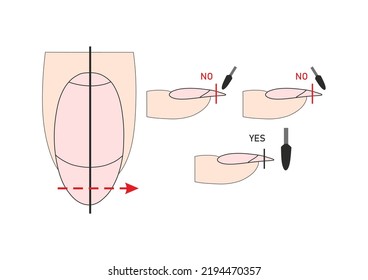 Nails cutter instruction guide. Cutter manicure instrument. Tutorial.