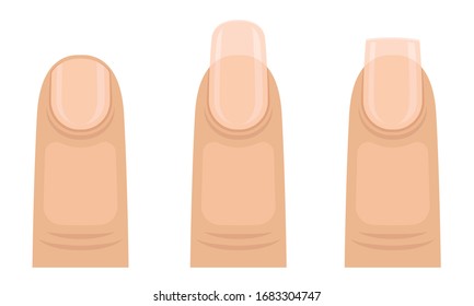 Nails of Different Shapes with Glossy Colorless Varnish Vector Set