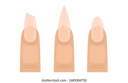 Nails of Different Shapes with Glossy Colorless Varnish Vector Set