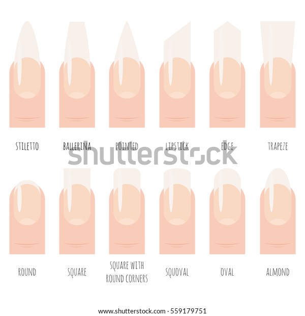 Nails Shape Icons Set Stock Vector (Royalty Free) 559179751
