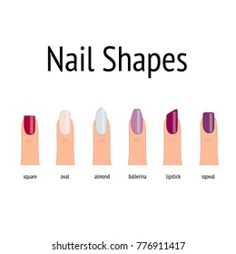 10,860 Nail type Images, Stock Photos & Vectors | Shutterstock