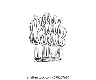 Naive drawing of trees