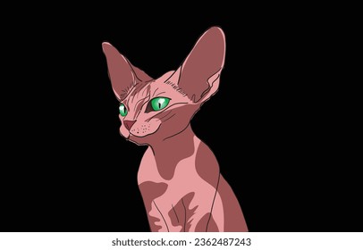naked cat  sphinix vector    ,