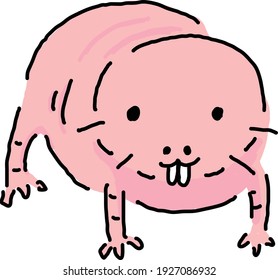 Naked Mole Rat Illustration Rough Cute Kawaii