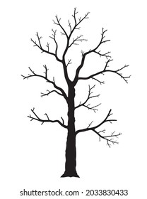 Naked tree. Silhouette of dead trees isolated on white background. Black and white. vector illustration.