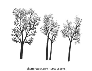 Naked trees silhouettes set. Hand drawn illustrations isolated on white.