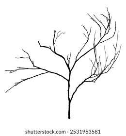 Silhuetas de árvores nuas em fundo branco. Ilustrações isoladas desenhadas à mão.
