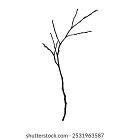 Naked trees silhouettes set on white background. Hand drawn isolated illustrations.