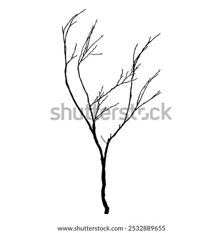 Naked trees silhouettes set on white background. Hand drawn isolated illustrations.