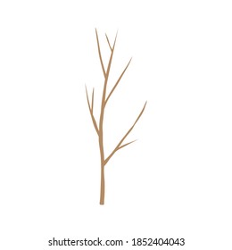 Nackte Bäume Winterstamm. Handgezeichnete einzelne Illustrationen.