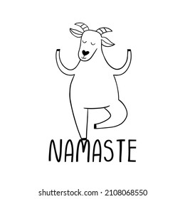 Namaste. Goat yoga exercise trend illustration of farm animal. New fitness style concept isolated on white background.