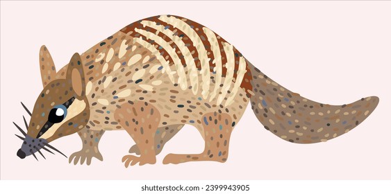 Nambat, australian marsupial anteater. Vector isolated illustration.