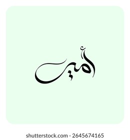 O nome 'Amir', derivado da palavra árabe para "comandar", sucintamente significa um príncipe, governante ou comandante, incorporando liderança e nobreza.
