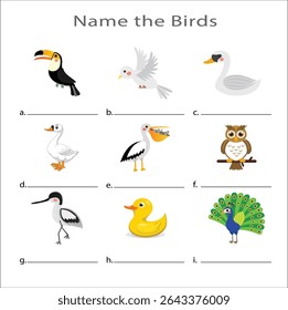 Name the birds worksheet. Flashcards for kids with cute birds. Educational cards. Vector illustrations of birds write their names.