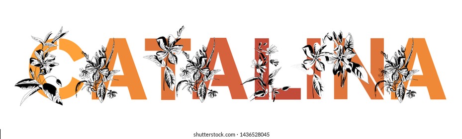 Name Catalina. Font composition named CATALINA. Decorative floral font in orange and yellow. Typography in the style of art nouveau, modern, vintage.