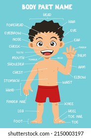 Name of cute cartoon boy human body part for kids in english