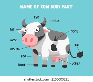 Name of cute cartoon cow body part for kids in english