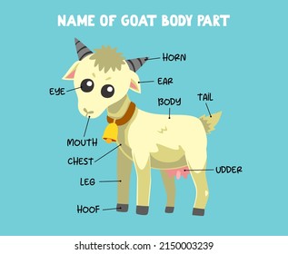 Name of cute cartoon goat body part for kids in english