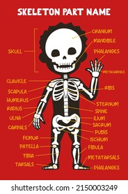 Name of cute cartoon human skeleton part for kids in english