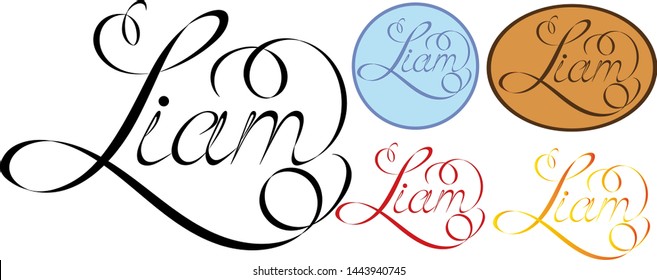 Name Liam, made in the vector for use in various purposes, from embroidery to printing business cards.