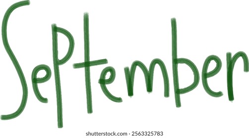 Name of months hand drawn lettering illustration
