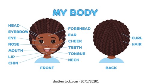 Name of Parts of Face.  Boy. Front Back View. Education for Little Children. Worksheet for an Anatomy Lesson. Flat Cartoon Style. White background. Poster. Illustration for Printing. Vector.