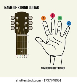 Name of string guitar with numbering of left finger hand. Learn of basic guitar concept