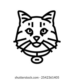 Vector de icono de línea de cría de gato. signo de cría de gato de etiqueta de nombre. Ilustración negra de símbolo de contorno aislado