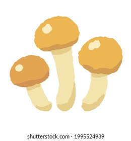 Nameko hand-drawn style illustration, autumn image
