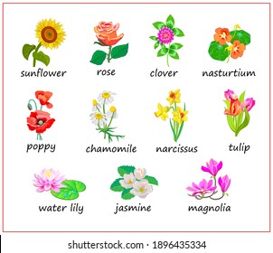 488 Set nasturtium flower Images, Stock Photos & Vectors | Shutterstock