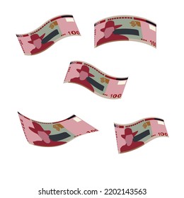 Namibia-Dollar-Vektorgrafik. Namibia-Geld-Paket-Banknoten. Falling, fliegendes Geld 100 NAD. Flacher Stil. Einzeln auf weißem Hintergrund. Einfaches minimales Design.
