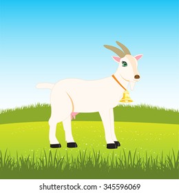 Nanny goat on field