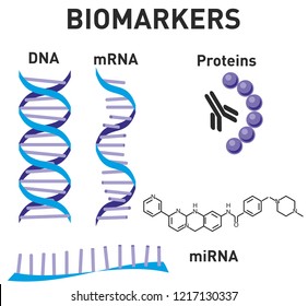 Nanomedicine Set. Nanoscience, Nanotechnology. Biomarkers. DNA, MRNA, MiRNA, Proteins Image. Structural Chemical Formula And Molecule Model. Design For Science. Vector Illustration