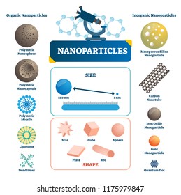 Nanoparticles labeled infographic. Microscopic element vector illustration. Organic or inorganic polymeric sphere, capsule, micelle, quantum and carbon technology example