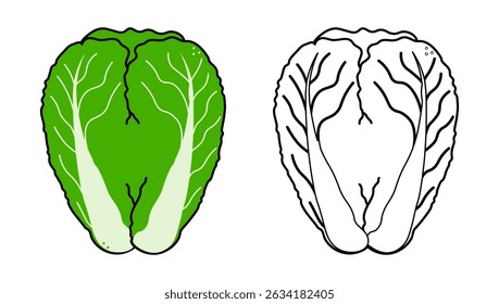 Ilustração de Napa Cabbage com representação verde vibrante e desenho de linha preto e branco detalhado