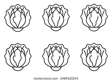 Napa Cabbage Line Art Tranquility