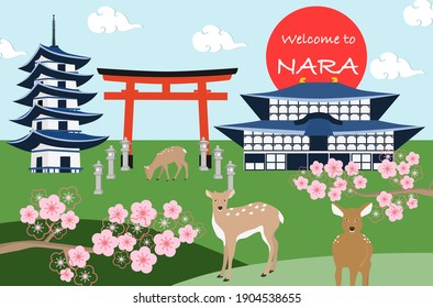 Nara park with cherry blossom. Nara deers. Stone lanterns. Tourists Japan destination.