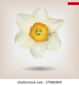 narcis flower in painting style