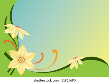Narcissus