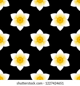 Narcissus bloom flower. Seamless pattern. Black background