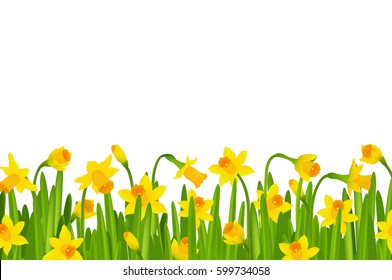 Narcissus Border With Gradient Mesh, Vector Illustration