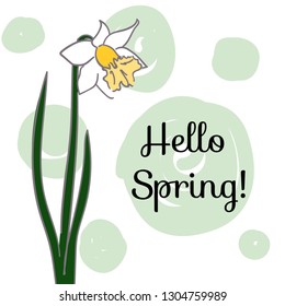 Narcissus. Bouquet of flowers. Vector collection. Vector black silhouettes of spring flowers (narcissus) isolated on a white background. Floral poster, invite. Handdrawn Vector. Hello spring!