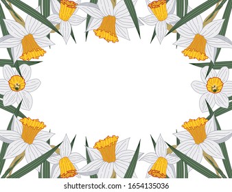 
Narcissus. Close-up. Spring flowers. On a white background daffodil flowers. There is a place for text. Decor element. Vector illustration.