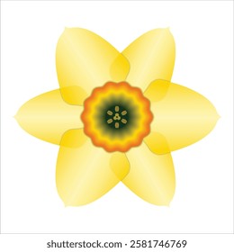 Narcissus or Daffodil flower. 3D icon. Vector illustration