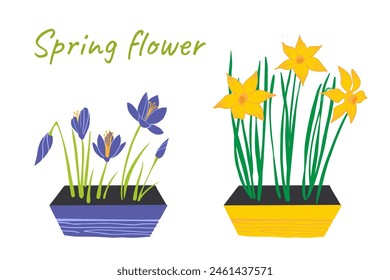 Narzisse, Narzissen, Krokusset. Frühlingsblumen-Kollektion. Illustration für Jahreszeiten isoliert Grußpostkarte, Poster, Hochzeitseinladung, Web-Banner, Frühjahrsverkaufswerbung, Gartenarbeit, Feiertag