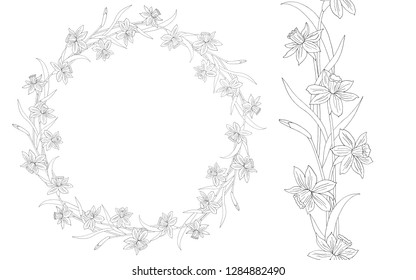 Narcissus or daffodils. Hand drawn vector illustration. Round floral frame. Line art. Seamless border or brush with spring flowers and leaves
