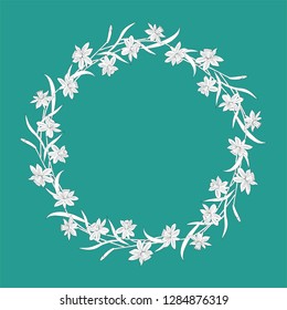 Narcissus or daffodils. Vector illustration. Round floral frame. Spring flowers on turquoise