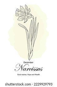 Narcissus December birth month flower print. Botanical floral line art drawing with Holly flower meaning. Hand drawn black ink outline vector illustration on watercolor yellow background.