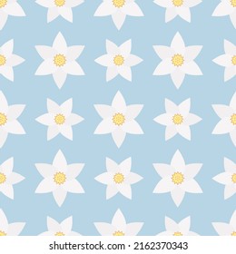 Narcissus. Delicate white flower with a curly yellow core. Seamless vector pattern. Isolated blue background. Flat style. Endless summer ornament. Delicate floral background. Idea for web design